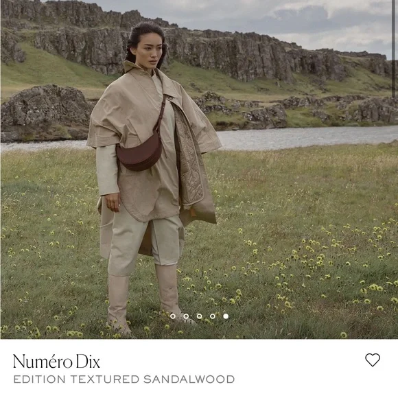 Polene Numero Dix purse - Sandalwood - Picture 3 of 13